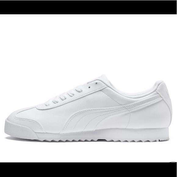 Roma Basic Jr - Picture 2 of 6